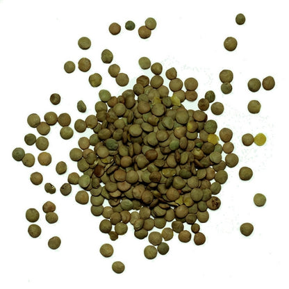 Lentilles vertes bio equitables - 1